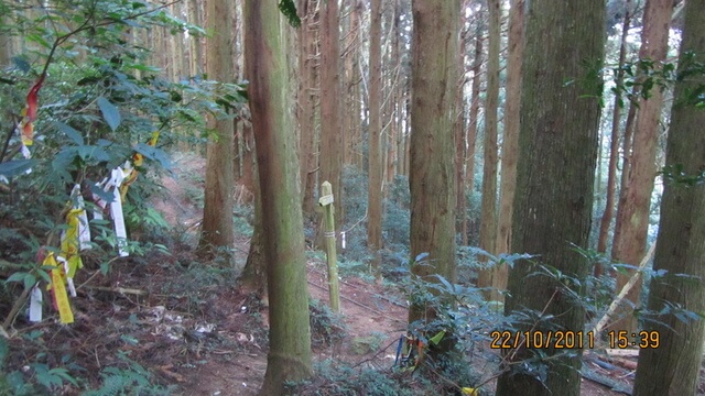 加里山(大坪林道路線)