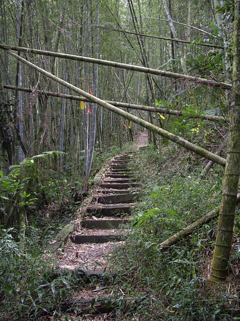 後尖山