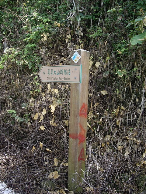 集集大山南峰、集集大山