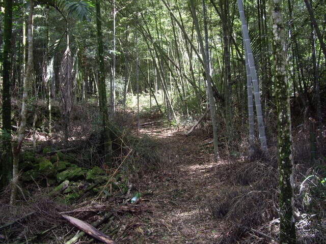 集集大山南峰、集集大山