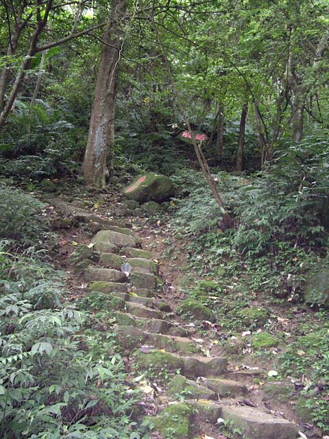 溪洲山(大艽宮路線)