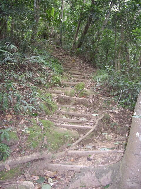 溪洲山(大艽宮路線)