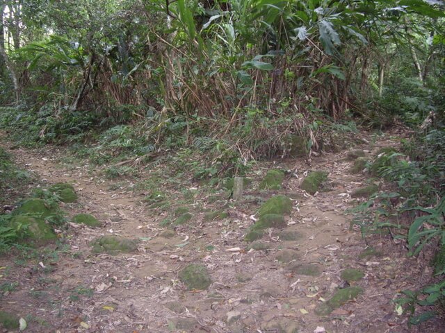 溪洲山(大艽宮路線)