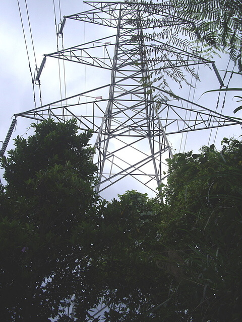 溪洲山(大艽宮路線) 電塔78號