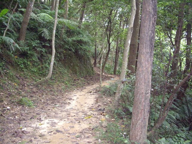 溪洲山(大艽宮路線)