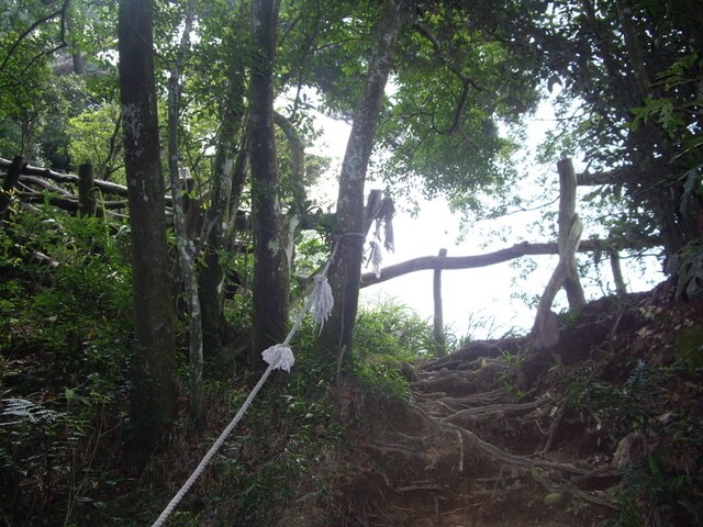 頭嵙山(聖普宮路線)