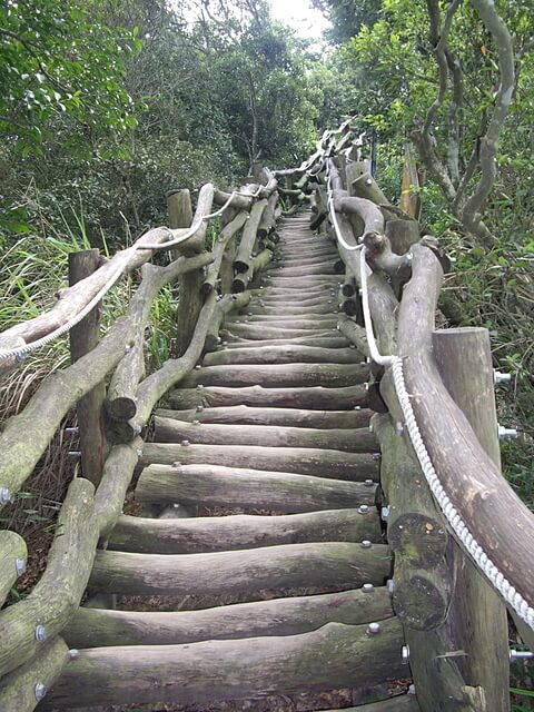 頭嵙山(聖普宮路線)