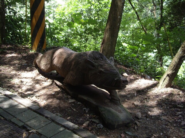 二本松山 雪霸國家公園 山豬雕像