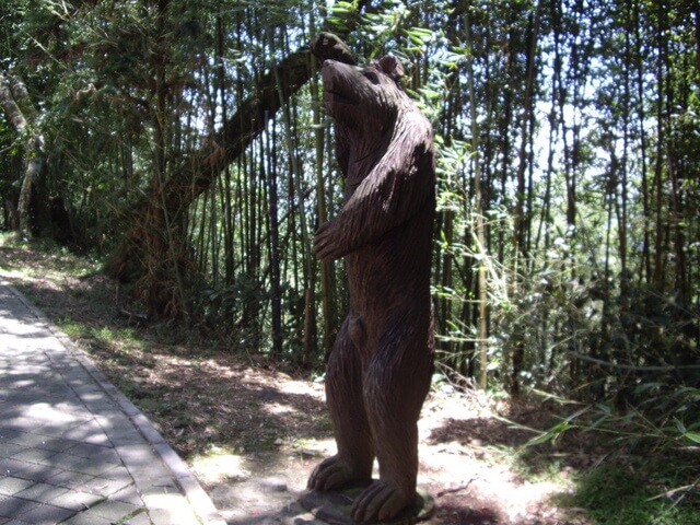 二本松山 雪霸國家公園 黑熊雕像