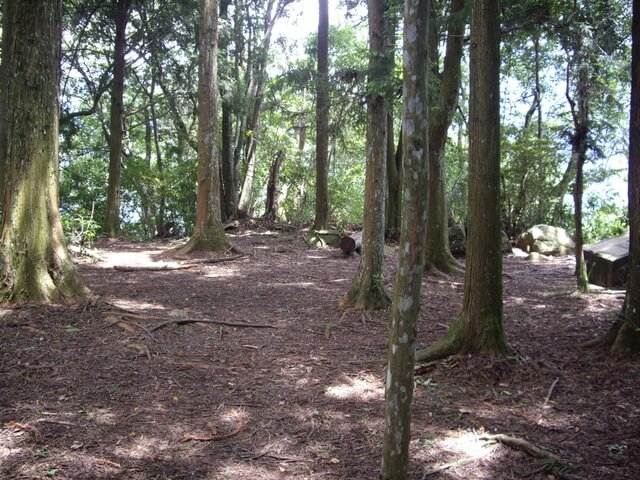 二本松山 丸田砲台遺址