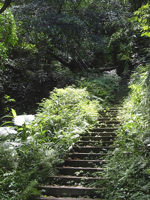 十八彎古道、中央嶺步道、橫山