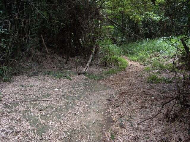 十八彎古道、中央嶺步道、橫山