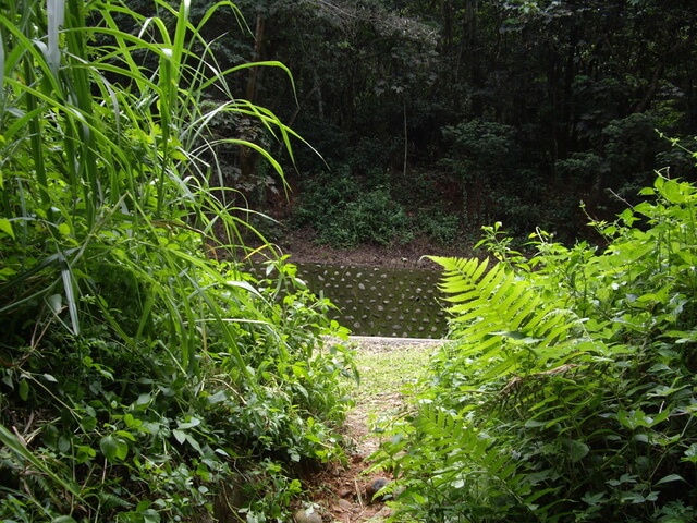 十八彎古道、中央嶺步道、橫山