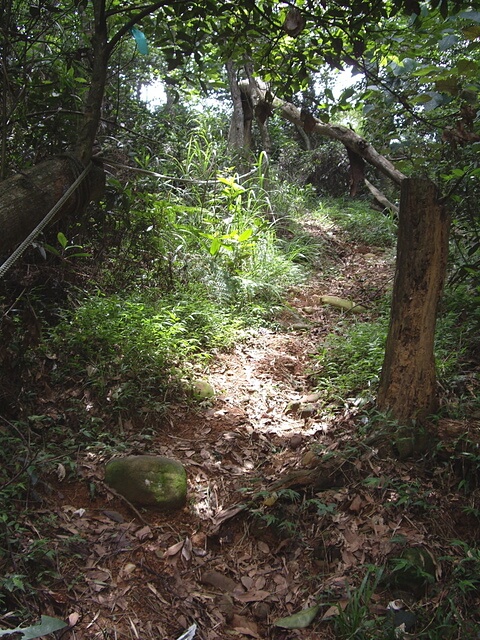 十八彎古道、中央嶺步道、橫山