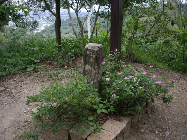 十八彎古道、中央嶺步道、橫山