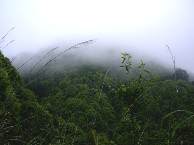 雪見遊憩區、東洗水山、北坑山