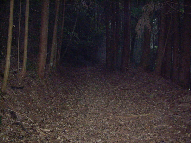 雪見遊憩區、東洗水山、北坑山