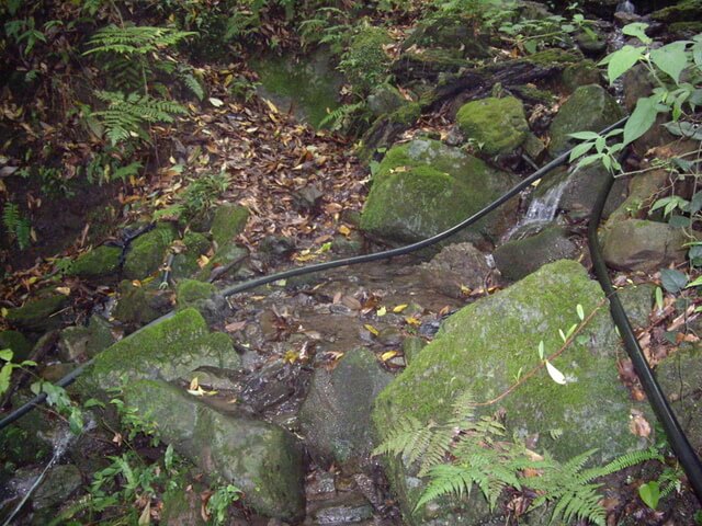 東穗山 小溪