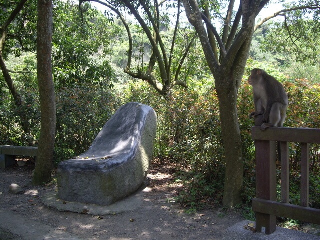 松柏嶺登廟步道、七星陣地公園、松柏坑山