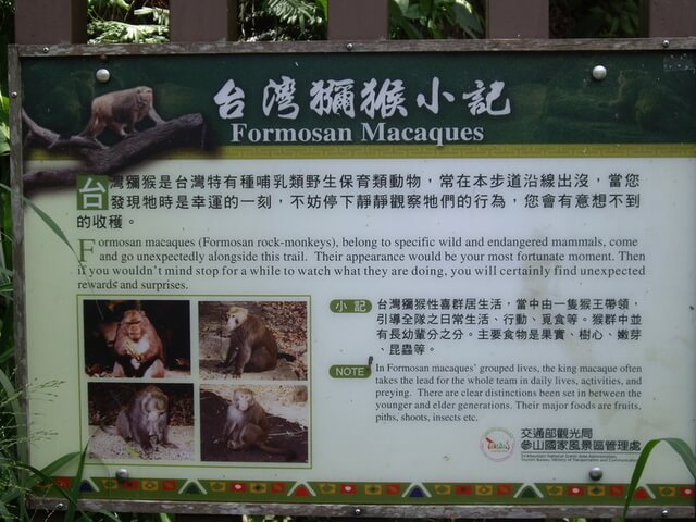 台灣獼猴解說牌