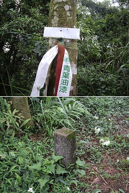 小粗坑古道、小粗坑山