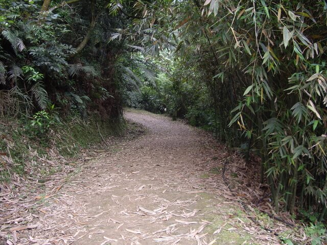 小粗坑古道、小粗坑山