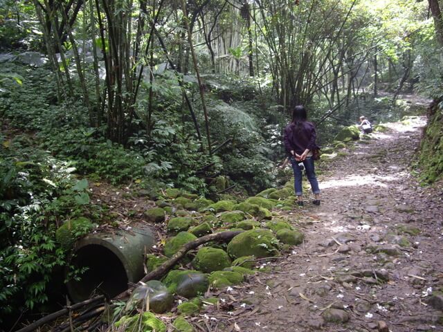 小粗坑古道、小粗坑山