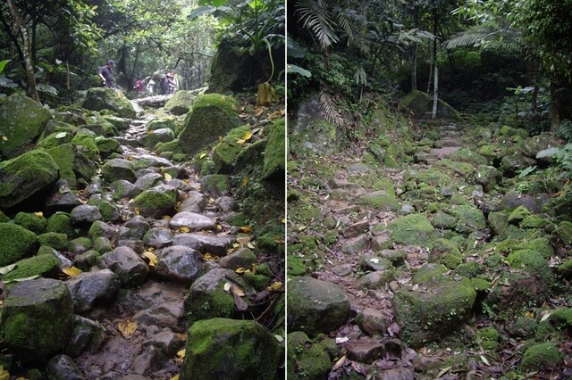 小粗坑古道、小粗坑山 乾溪谷