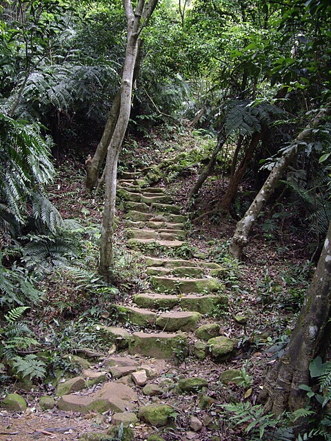 內溝山石階步道