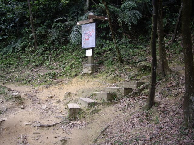 夢湖、新山