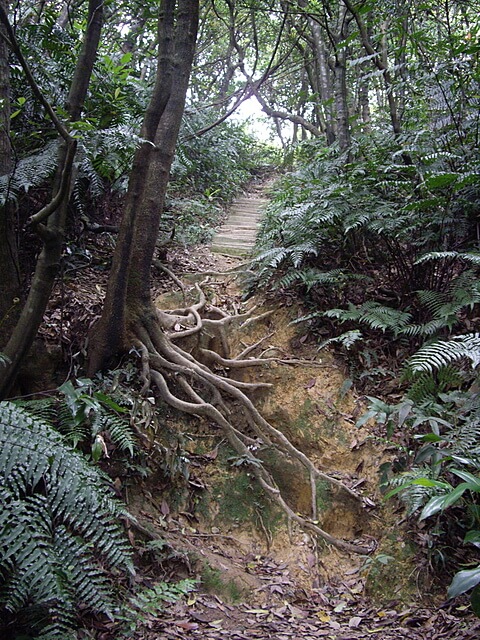 夢湖、新山