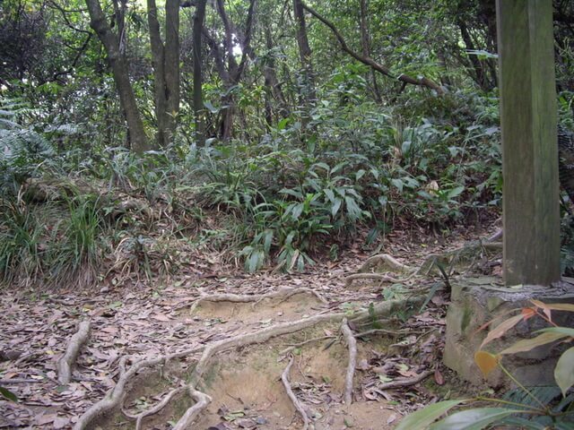 夢湖、新山