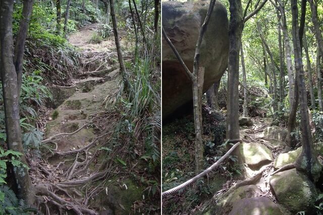 夢湖、新山