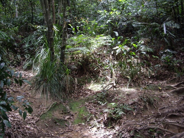 夢湖、新山