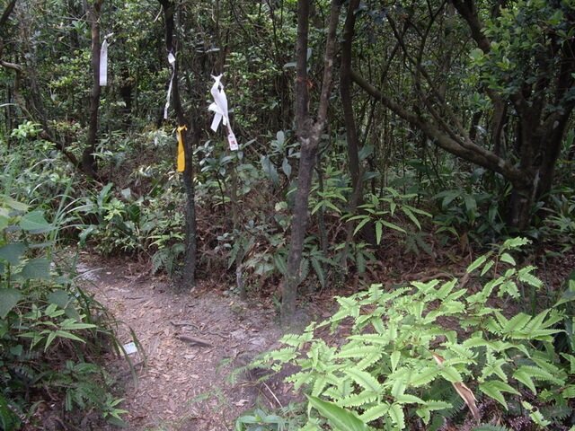 夢湖、新山