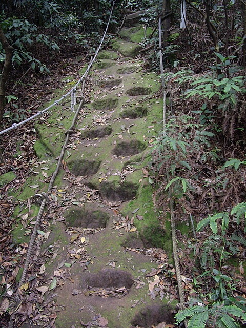 夢湖、新山