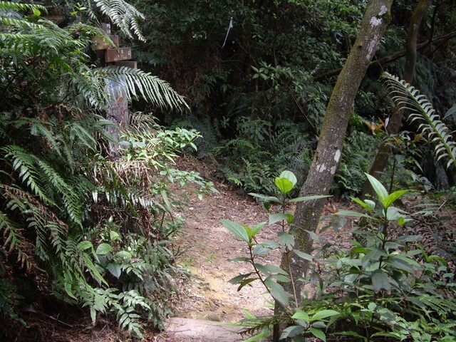 夢湖、新山