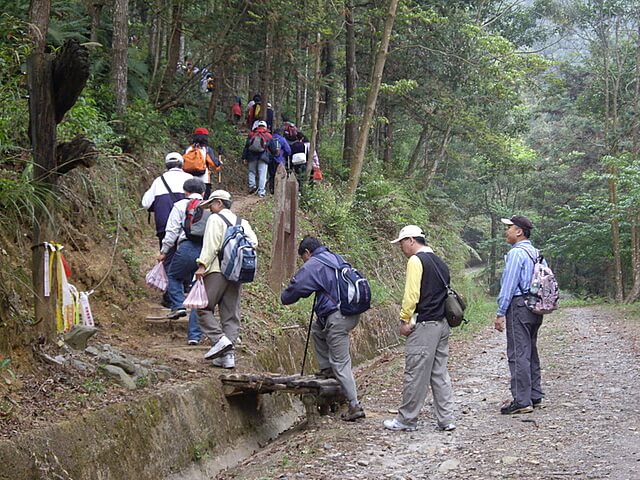 森林浴步道入口 惠蓀林場、小出山