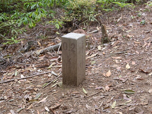 森林浴步道 惠蓀林場、小出山