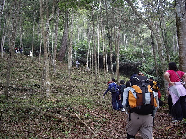 湯公碑步道