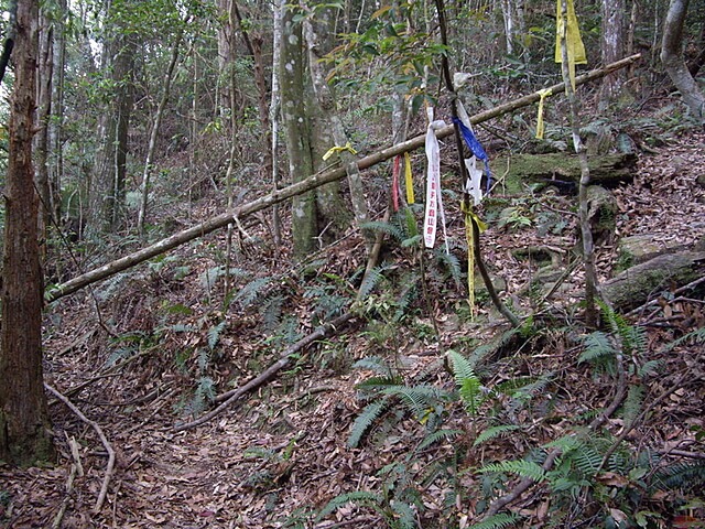 惠蓀林場、小出山