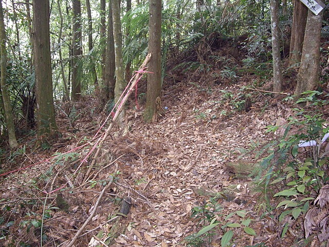 惠蓀林場、小出山