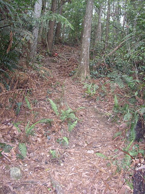 惠蓀林場、小出山