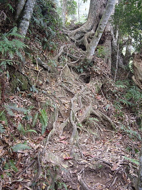 惠蓀林場、小出山