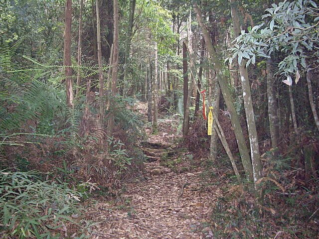 惠蓀林場、小出山