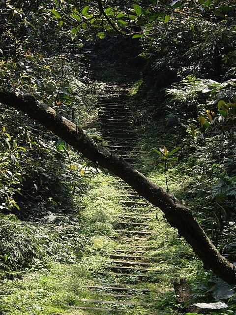 土庫岳、山豬窟尖