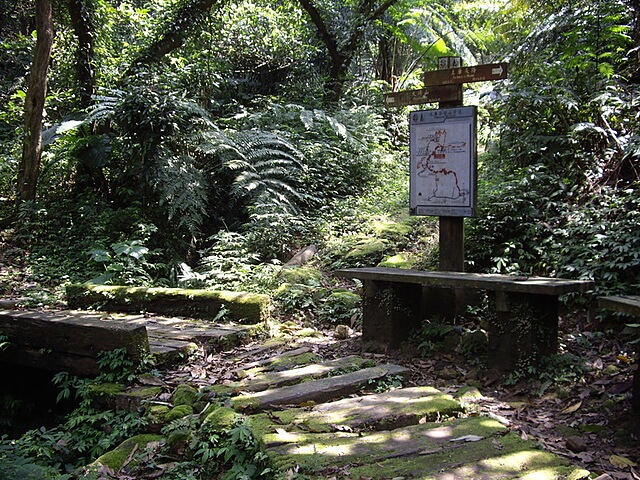 大坪山指標