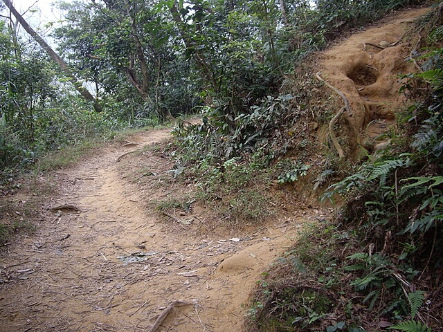 石碧潭山、飛鳳山、中坑山、牛欄窩山