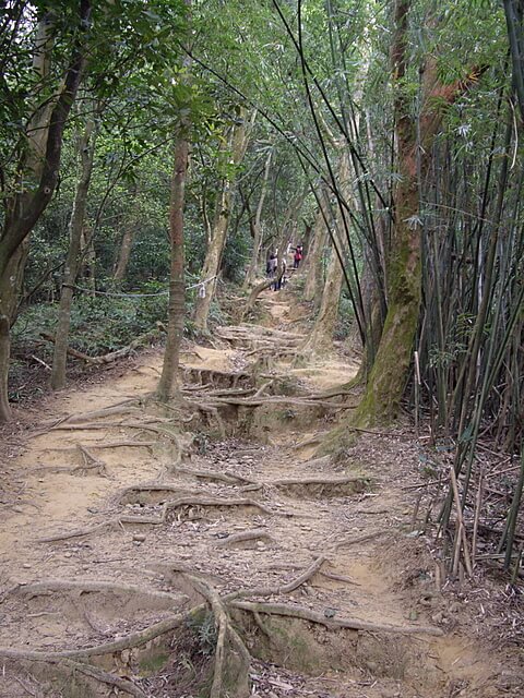 石碧潭山、飛鳳山、中坑山、牛欄窩山