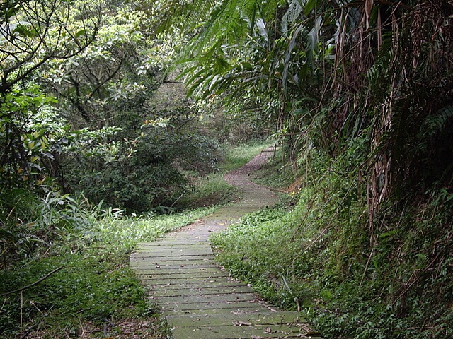 五分山步道